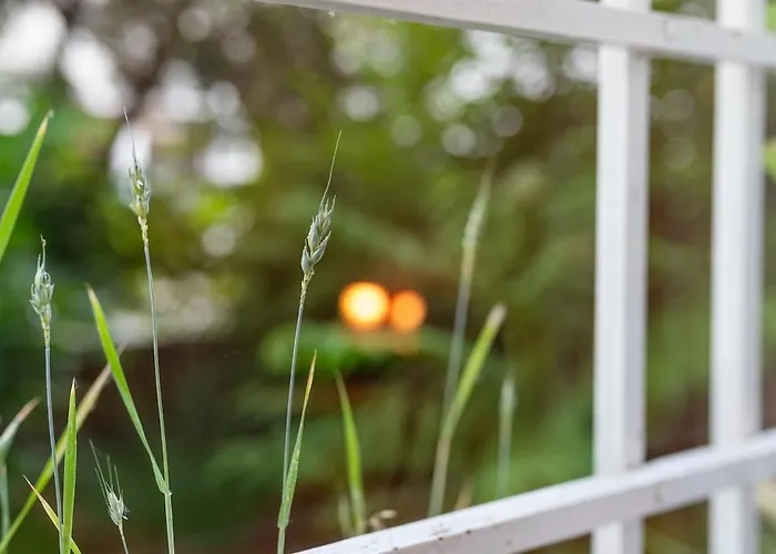 Art & Design Pressburg