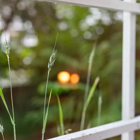 Art & Design Pozsony